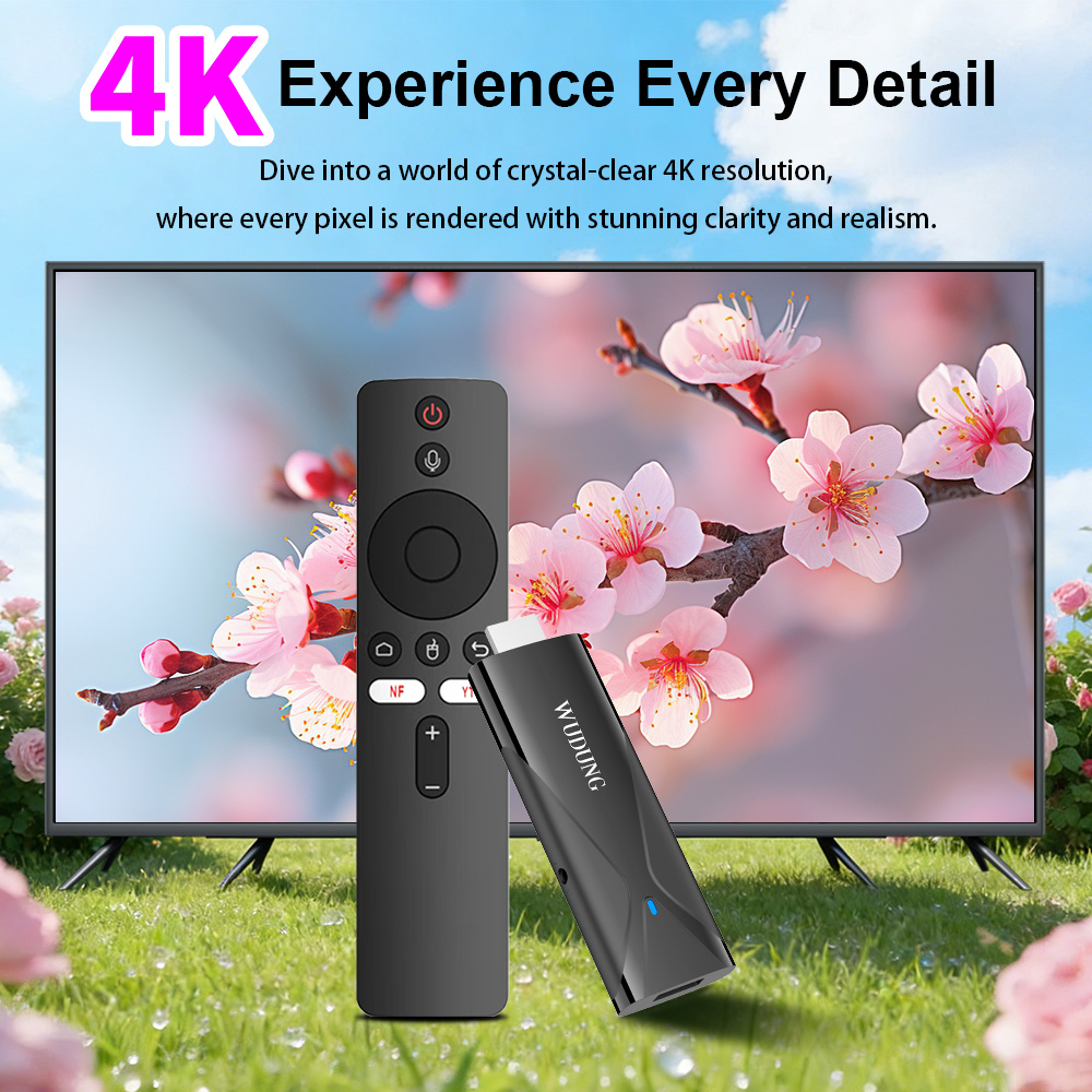 Home Cinema Media Player - Clé TV WD08 PRO Android 10